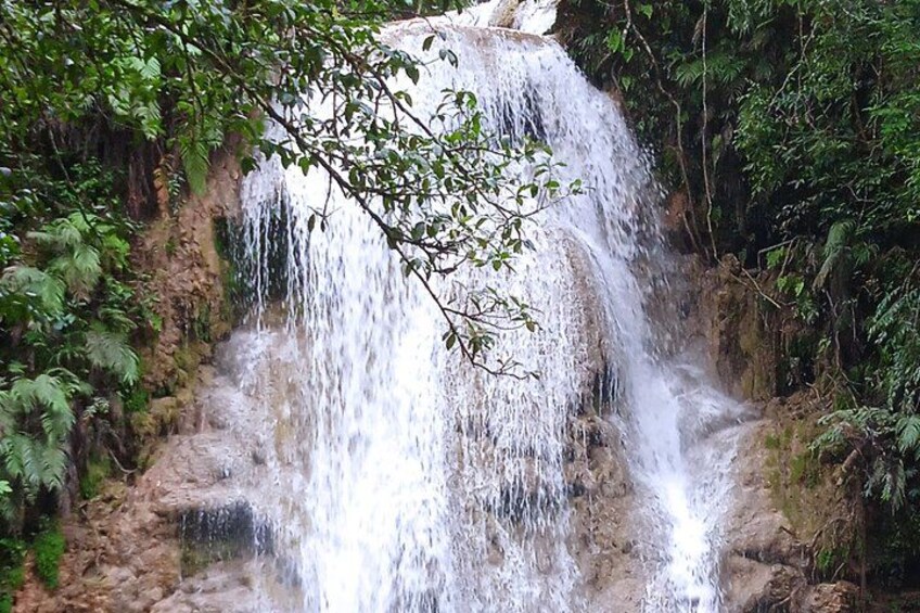 A waterfall surrounded by dense foliage. 2