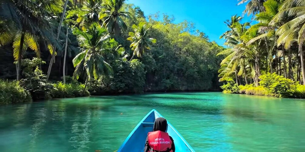 A river surrounded by dense tropical vegetation. 5
