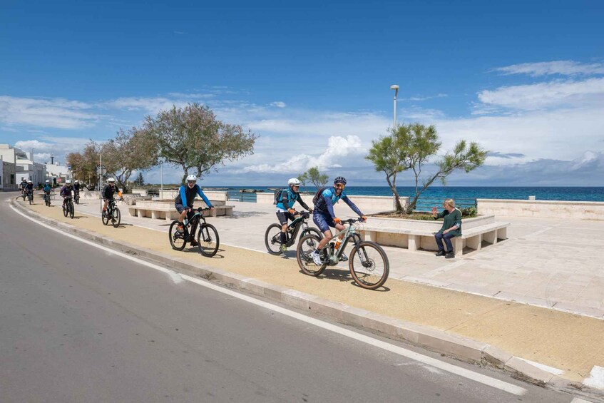 Cyclists on a paved path by the sea, with trees and benches along the walkway. 5