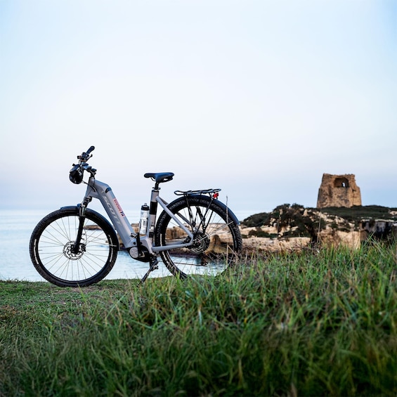A mountain bike parked on grass near a body of water with a historical tower in the background. 1