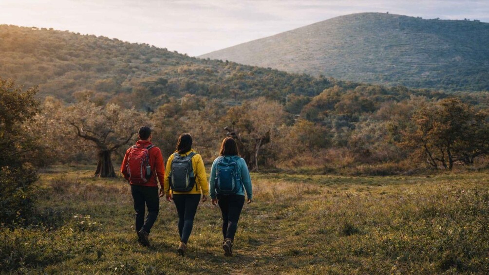Three people hiking on a grassy trail with hills in the background. 5