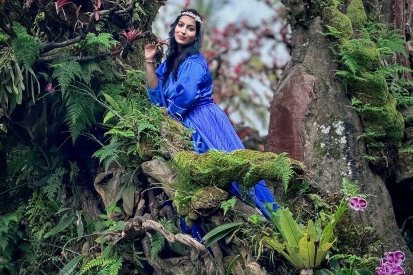 A person in a blue dress sitting on a moss-covered tree branch surrounded by dense foliage. 2