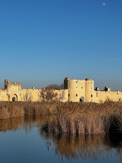 Un château médiéval, avec un fossé et des roseaux desséchés au premier plan. 1