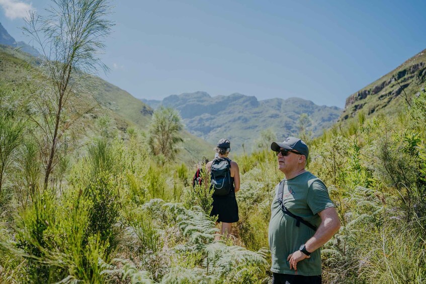 Zwei Wanderer auf einem Pfad, umgeben von grüner Vegetation und Bergen im Hintergrund. 2