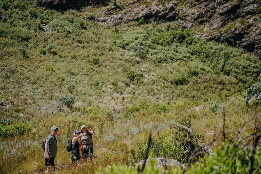 Eine Gruppe Wanderer in einer naturbelagten Landschaft mit dichter Vegetation und felsigem Untergrund. 4