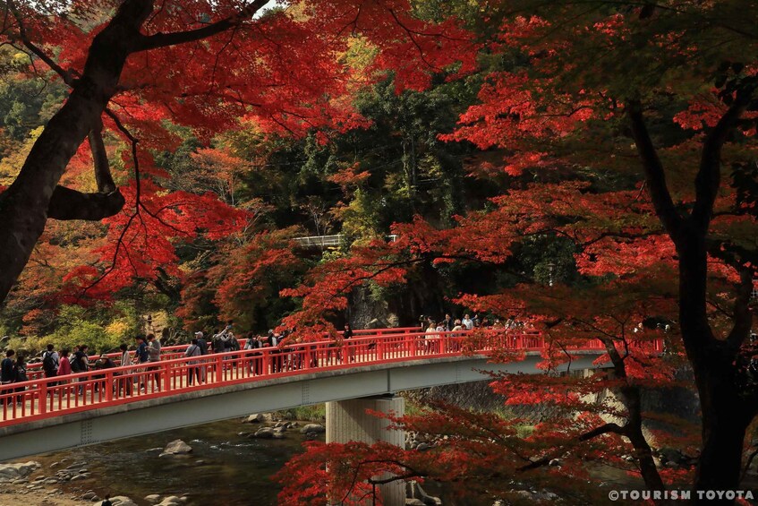 Un puente rojo sobre un río rodeado de follaje otoñal. 1