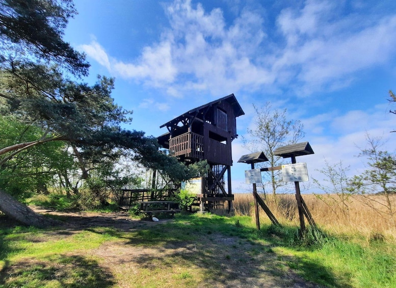 Ein hölzerner Aussichtsturm mit einer Plattform, umgeben von Bäumen und wolkenlosem Himmel. 2