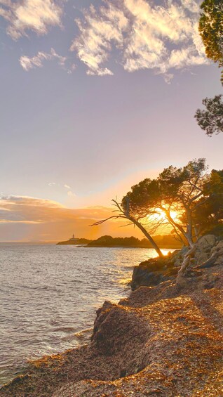 Picture 4 for Activity Mallorca, Alcúdia: Sunset on a traditional boat with tapas and wine 4