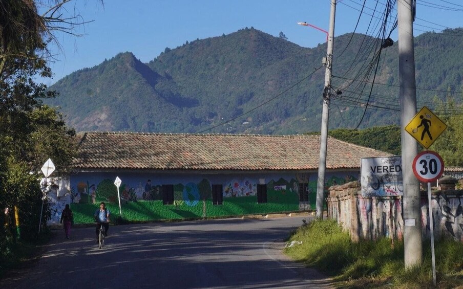 A rural road with a speed limit sign, a pedestrian crossing sign, and a building with graffiti. 3
