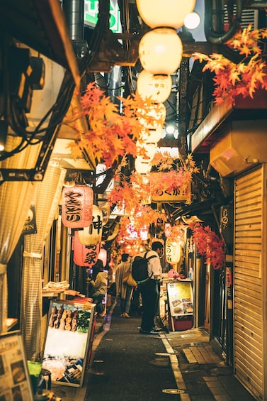 A narrow street with traditional lanterns and signs, indicating a cultural or historical area. 2