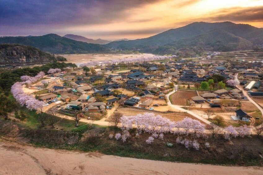 A village with traditional houses, cherry blossoms, and mountains in the background. 4