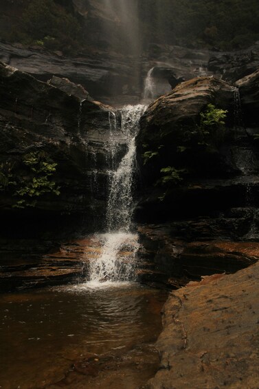 Picture 17 for Activity From Galle: Sinharaja Rainforest Trek & Village Lunch 2