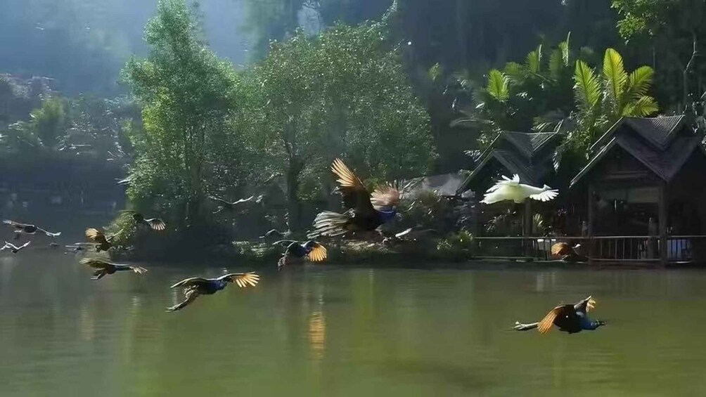 Ein See mit fliegenden Enten und einer traditionellen Hütte am Ufer. 2
