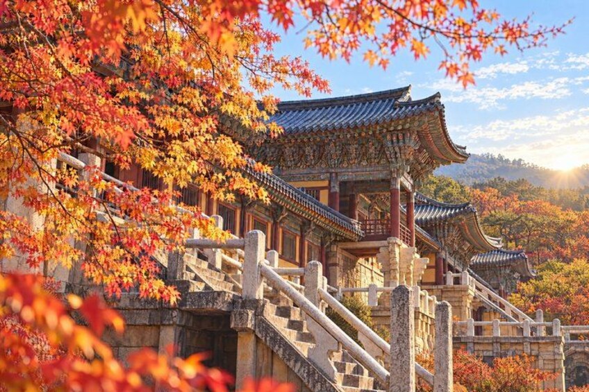 A traditional Korean building with a tiled roof, surrounded by autumn foliage. 2