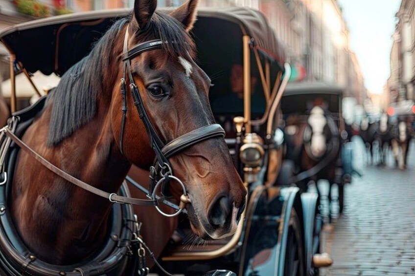 A horse-drawn carriage on a cobblestone street. 5