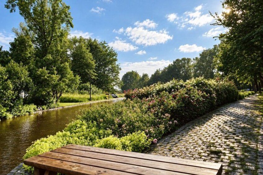 A riverside pathway with a wooden bench, lush greenery, and a calm water body. 5