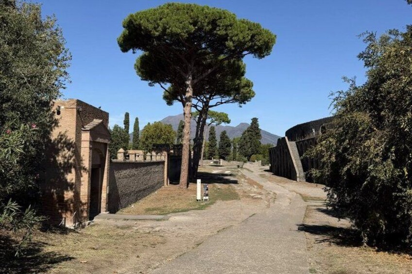 A paved path leading through a gate with a tall tree on the left and a stone wall on the right. 1