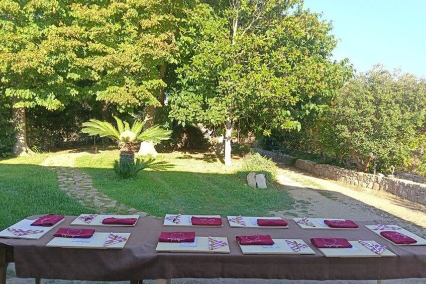 A table set outdoors with pink napkins and a potted plant. 2