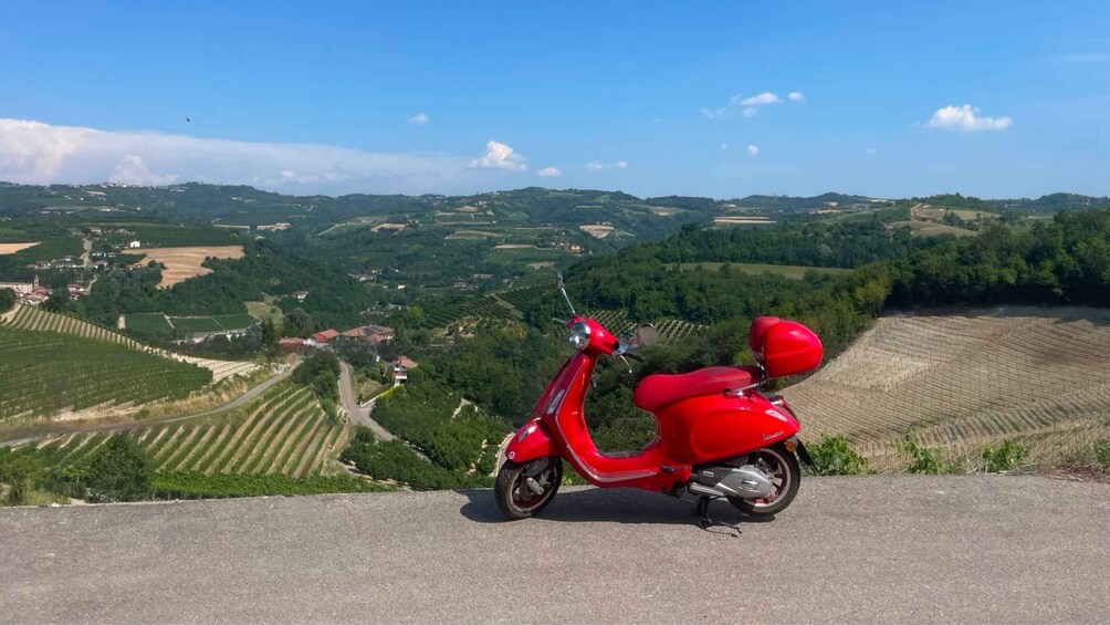 Un scooter rouge est garé sur une route offrant une vue panoramique sur des vignobles et des collines verdoyantes en arrière-plan. 3