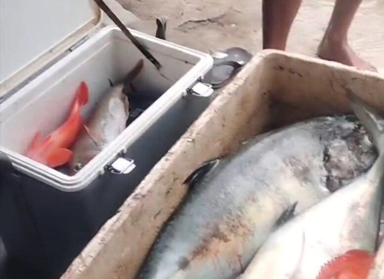 Eine Schale mit Fisch und eine Metallkiste mit Tragegriff. 5