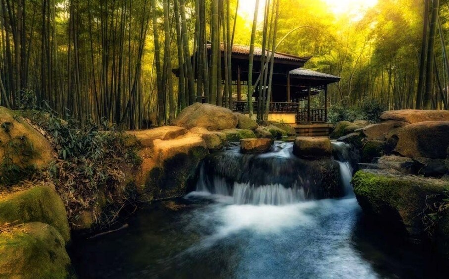 A bamboo forest with a waterfall and a traditional wooden structure. 3