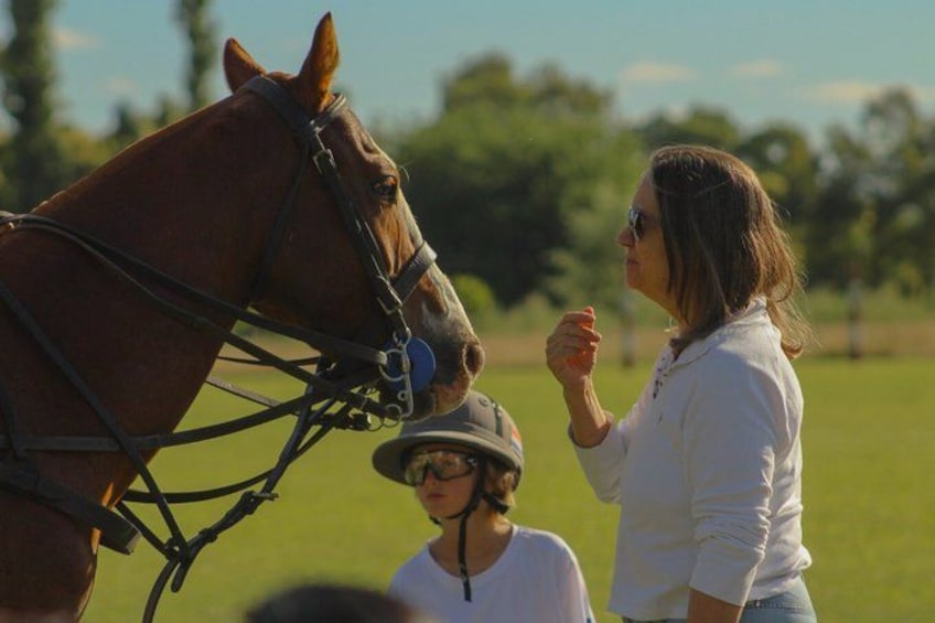 A person interacting with a horse in an outdoor setting. 2