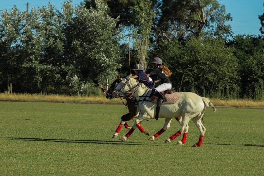 A person riding a horse on a grassy field with trees in the background. 3
