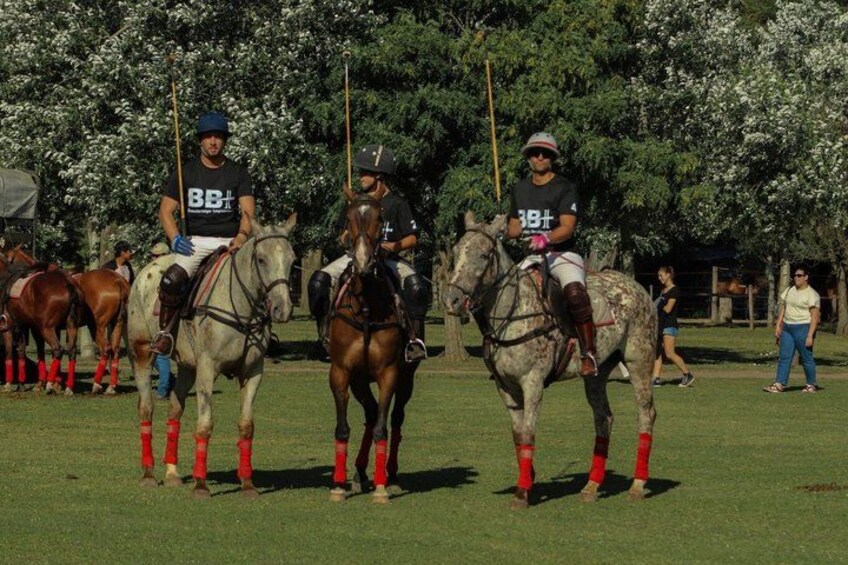 Three people on horses with red leg wraps, standing on a grassy field with trees in the background. 4