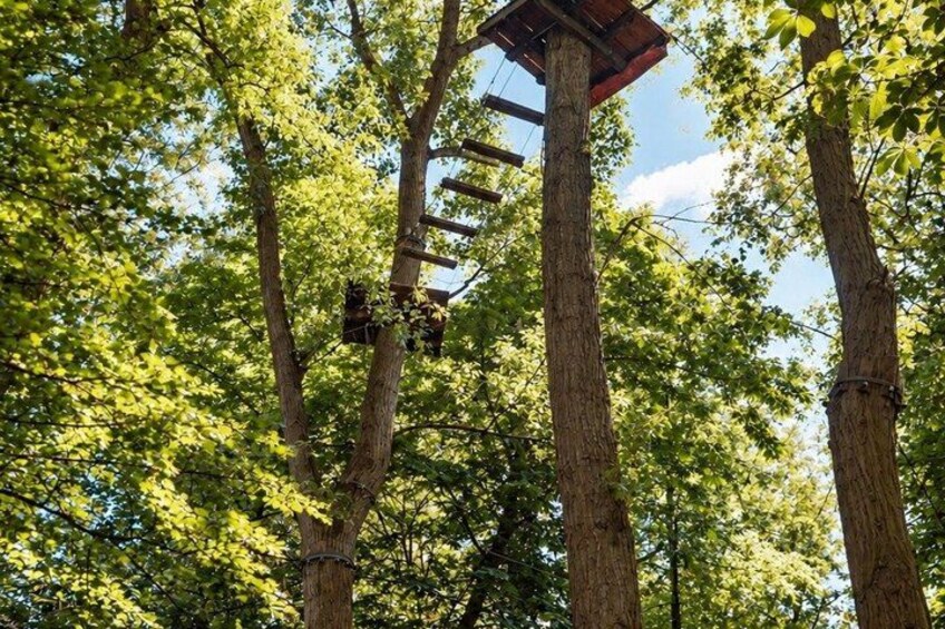 A treehouse platform with a ladder, surrounded by green foliage. 2