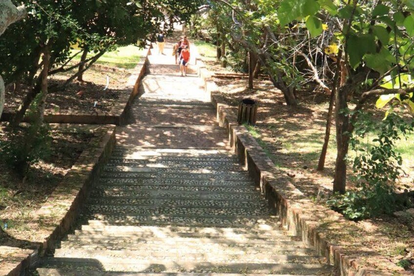 A stone staircase surrounded by trees in a park. 2