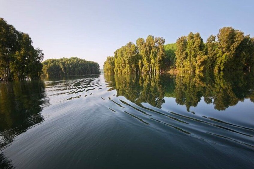 A calm river with trees reflecting on the water. 5
