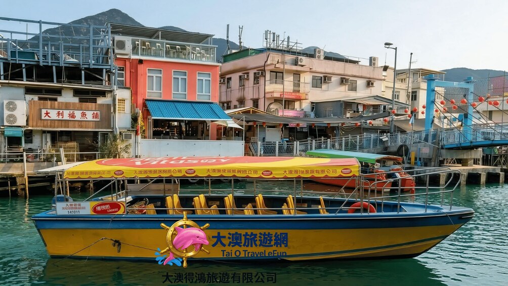 Un bateau aux couleurs vives, décoré d’un motif de dauphin, est amarré au bord de l’eau, avec des bâtiments en arrière-plan. 4