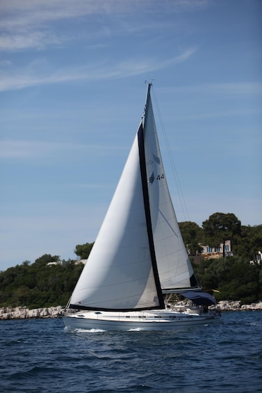 Ein Segelboot mit weißer Segel auf dem Wasser. 5