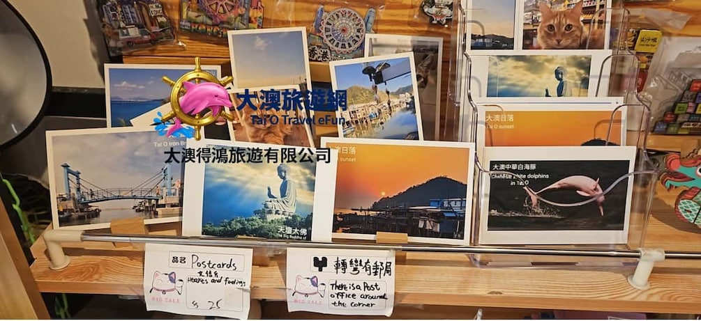 A display of postcards with various travel scenes, including a bridge, a sunset, and a dolphin. 5