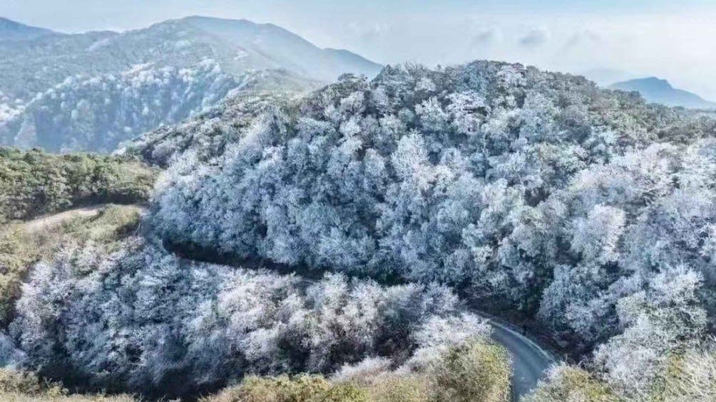 A mountainous landscape with a road winding through dense, frost-covered forests. 2