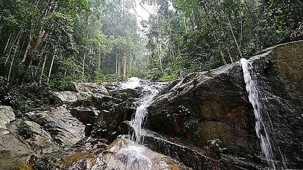 Ein Wasserfall in bewaldeter Landschaft mit Steinen und Bäumen. 5