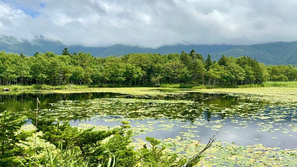 A lake surrounded by dense forest and mountains in the background. 3
