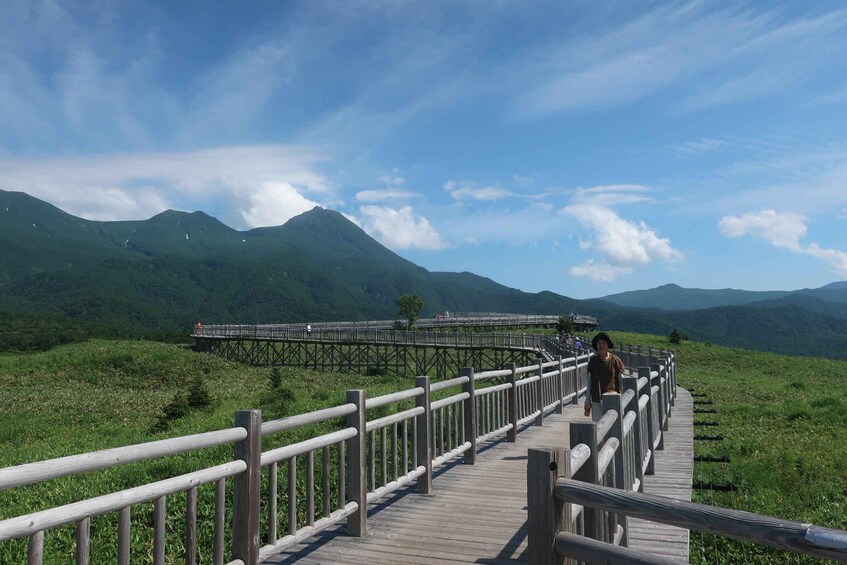 A wooden boardwalk with a metal railing, leading through a grassy area with mountains in the background. 4