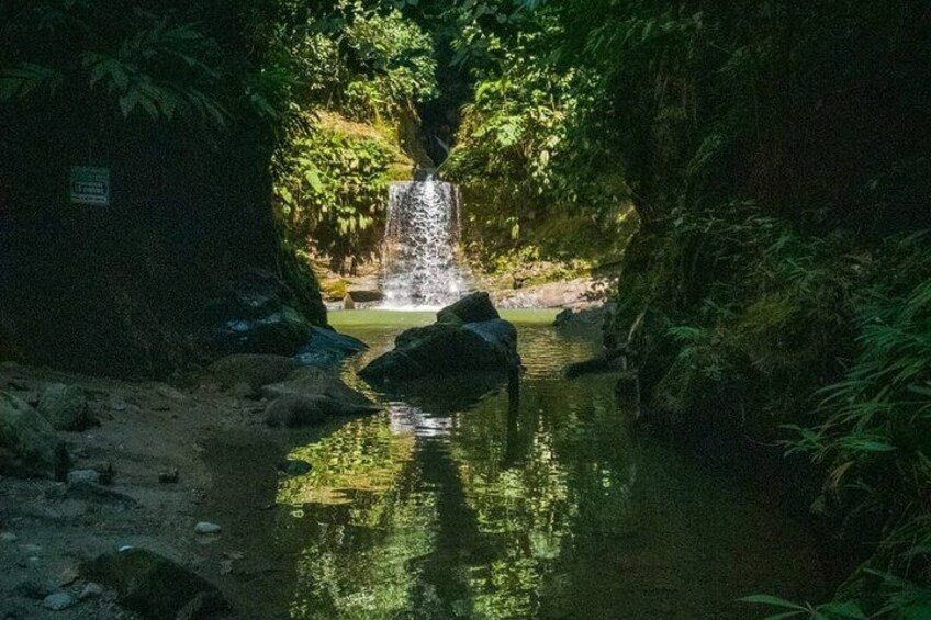 A waterfall, a rock in the water, and dense greenery. 2