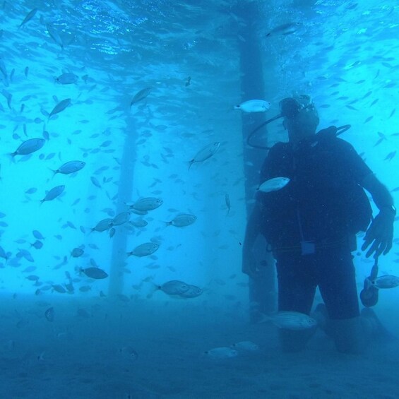Ein Taucher, umgeben von Fischen, in einer blauen Unterwasserlandschaft. 4