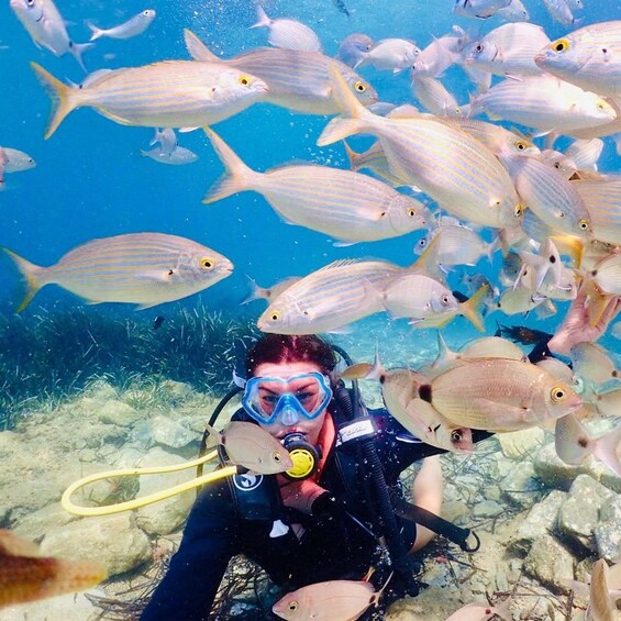 Ein Taucher, umgeben von einem Fischschwarm unter Wasser. 2