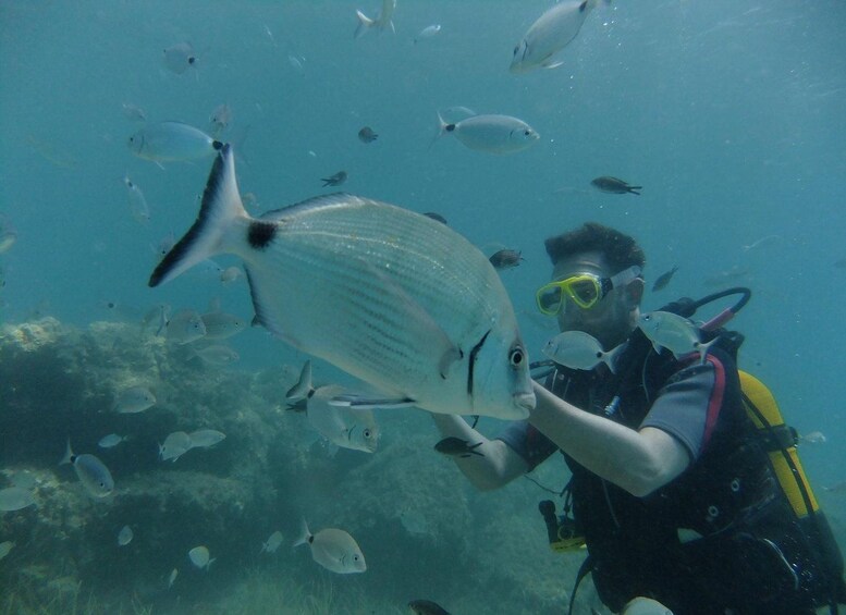 Ein Taucher unter Wasser mit einem großen Fisch, umgeben von kleineren Fischen. 1