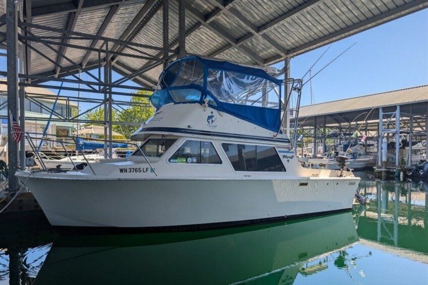 A white boat with the registration number 'WN 3765 LF' docked at a marina with a covered structure overhead. 3