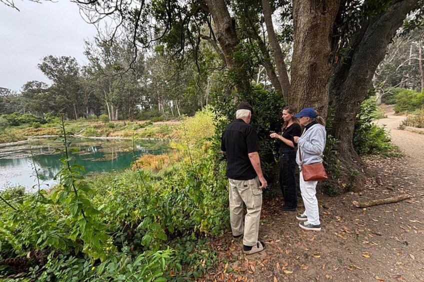 A group of people standing by a pond in a park with trees and greenery. 4