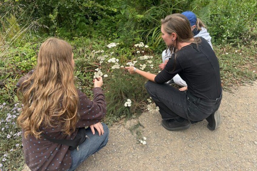 Two people crouching on a dirt path surrounded by greenery and white flowers. 1