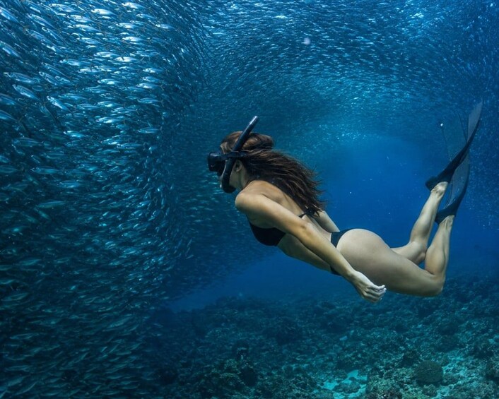Eine Person taucht unter Wasser auf, umgeben von Fischen. 4