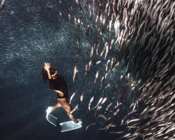 Eine Person surft auf einer Welle, umgeben von einem Schwarm Fische. 2