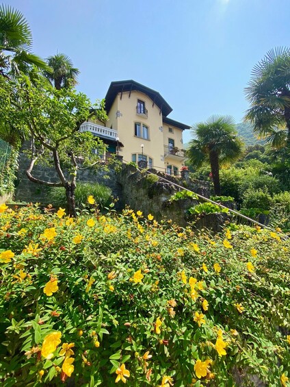 Ein Haus mit einem Balkon, umgeben von üppigem Grün und gelben Blumen. 4