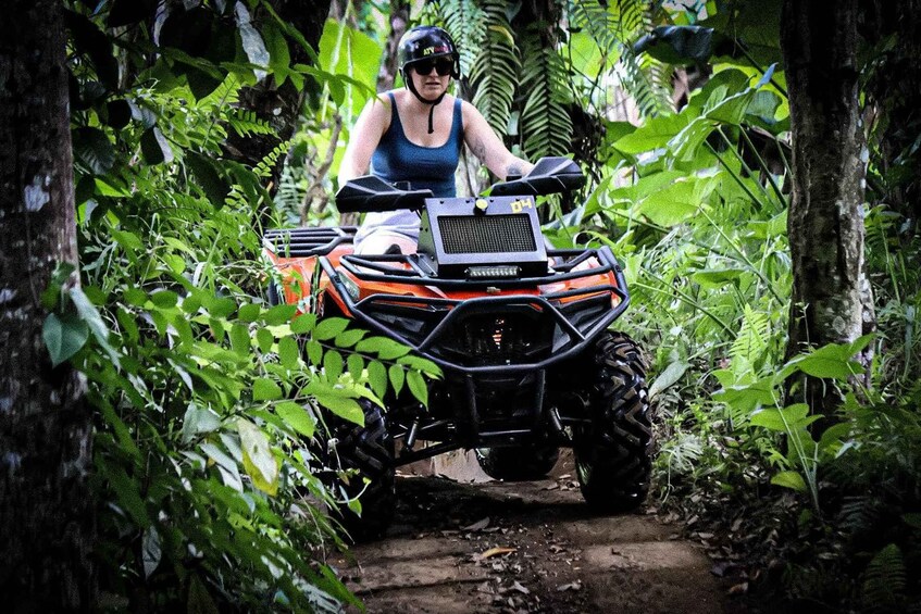 Eine Person fährt mit einem Quad durch ein bewaldetes Gebiet. 1