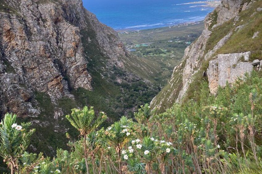 A mountainous landscape with rocky cliffs and dense vegetation. 5